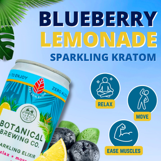 Red Elixir Blueberry Lemonade