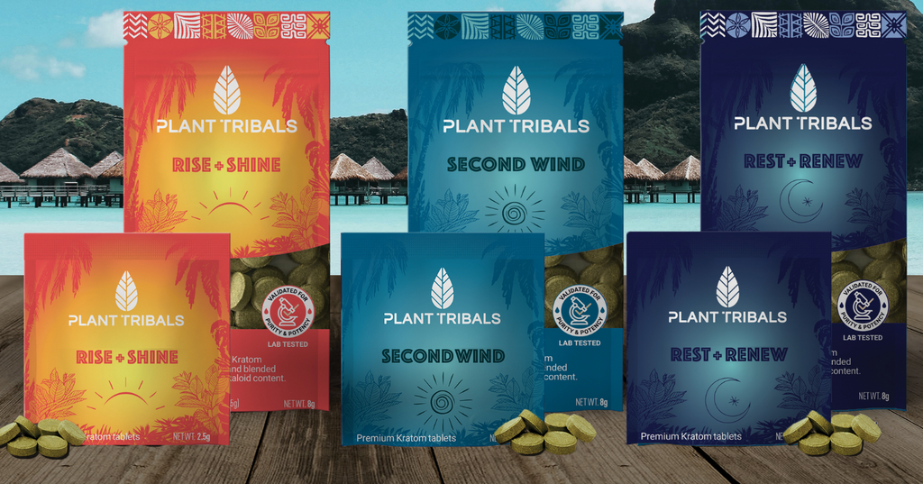 Elixir Tablet 3 Pack Variety Elixir Tablets – Botanical Brewing Co